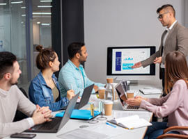 Software & Web Development